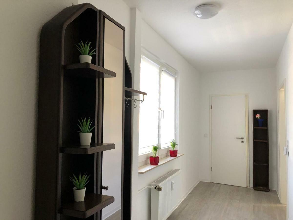 Helle Ferienwohnung An Der Rheinpromenade 50 Qm Duisburg Luaran gambar